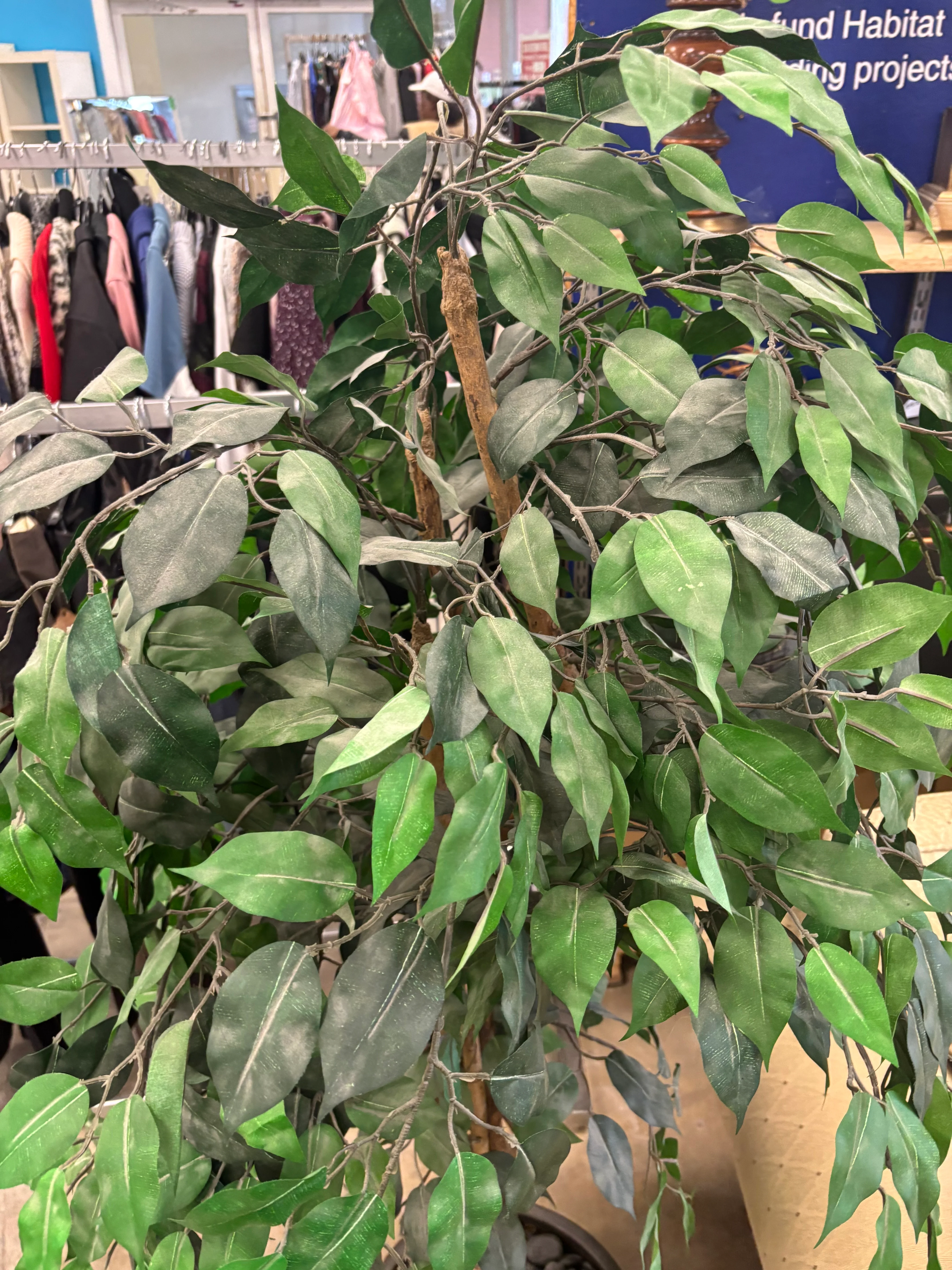 Artificial Ficus Tree with Round Base - Image 4