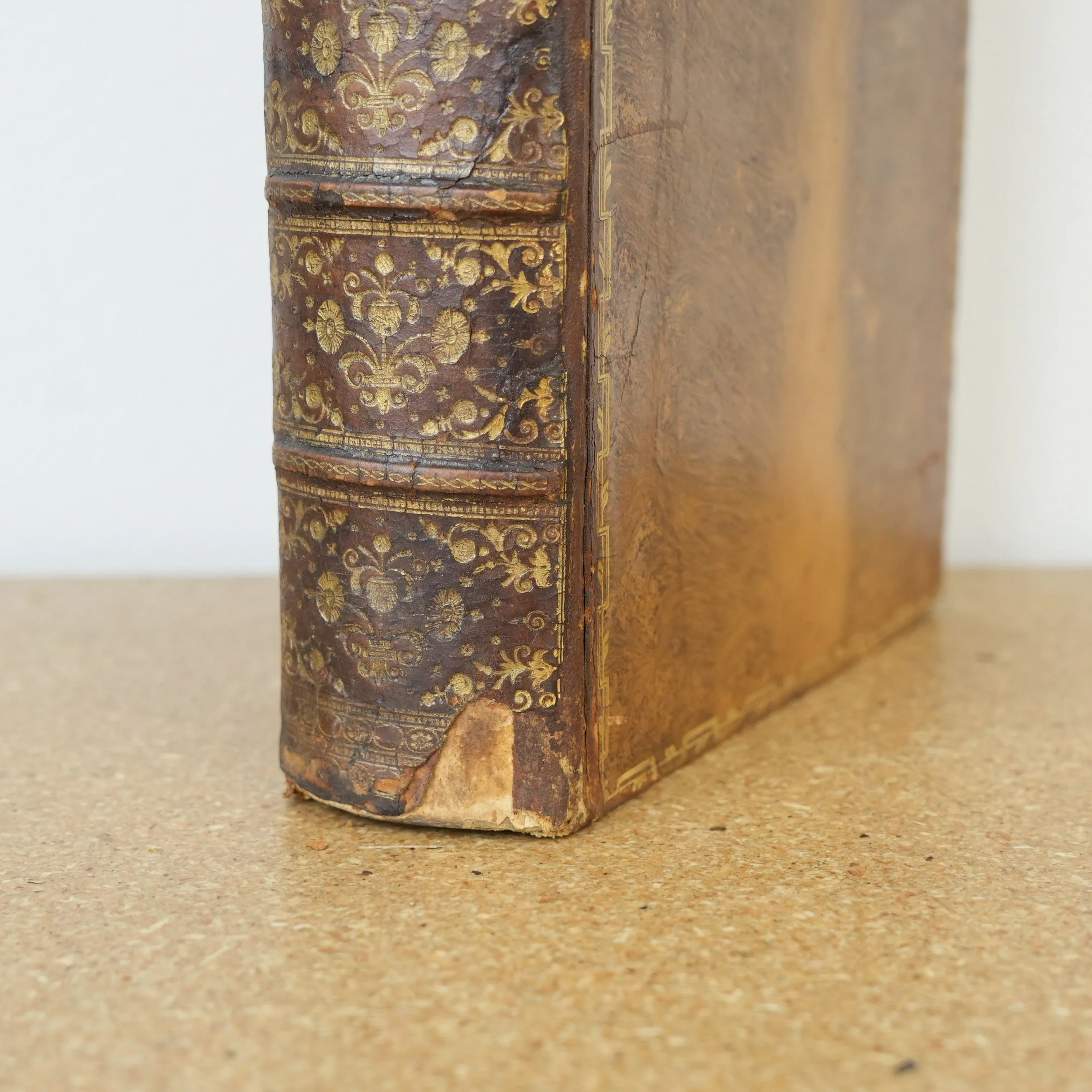 The Works of Lord Macaulay Vol 1 1866 - Image 2