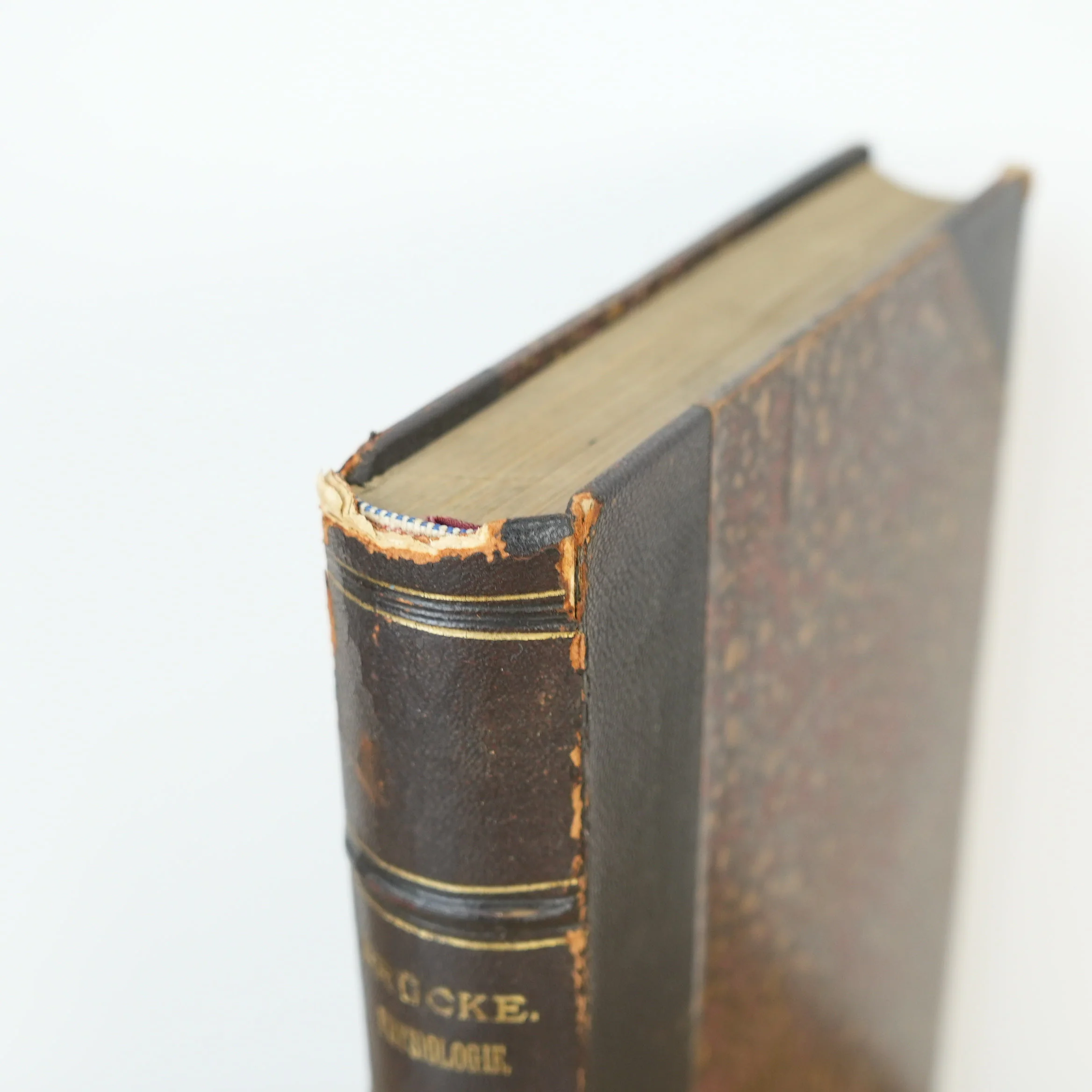 Vorlesungen über Physiologie Vol 1 by Ernst Wilhelm von Brücke 1885 - Image 2