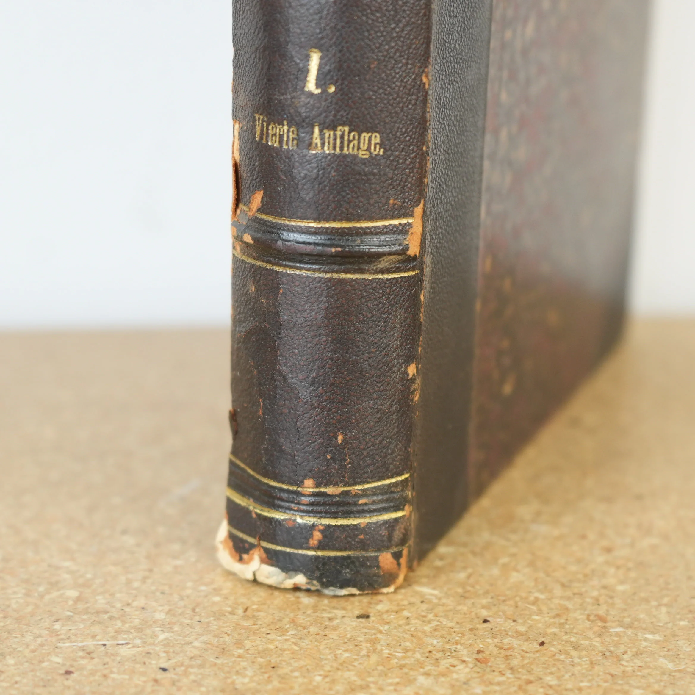 Vorlesungen über Physiologie Vol 1 by Ernst Wilhelm von Brücke 1885 - Image 3