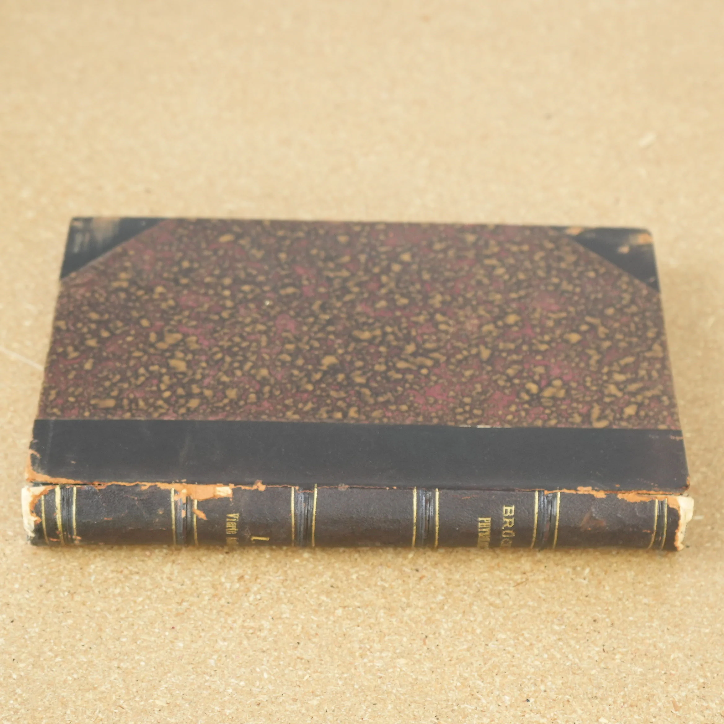 Vorlesungen über Physiologie Vol 1 by Ernst Wilhelm von Brücke 1885 - Image 4